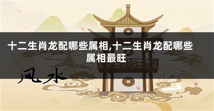 十二生肖龙配哪些属相,十二生肖龙配哪些属相最旺