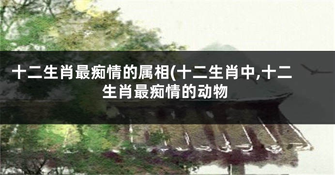 十二生肖最痴情的属相(十二生肖中,十二生肖最痴情的动物