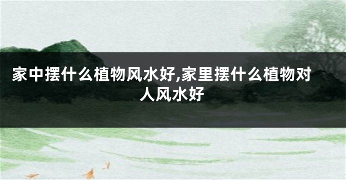 家中摆什么植物风水好,家里摆什么植物对人风水好