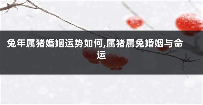 兔年属猪婚姻运势如何,属猪属兔婚姻与命运