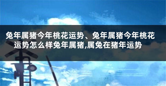 兔年属猪今年桃花运势、兔年属猪今年桃花运势怎么样兔年属猪,属兔在猪年运势