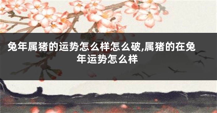 兔年属猪的运势怎么样怎么破,属猪的在兔年运势怎么样