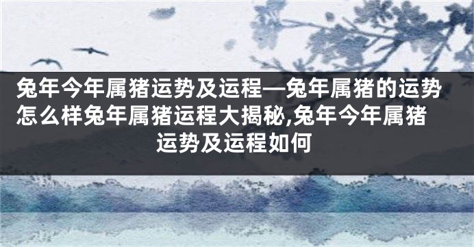 兔年今年属猪运势及运程—兔年属猪的运势怎么样兔年属猪运程大揭秘,兔年今年属猪运势及运程如何