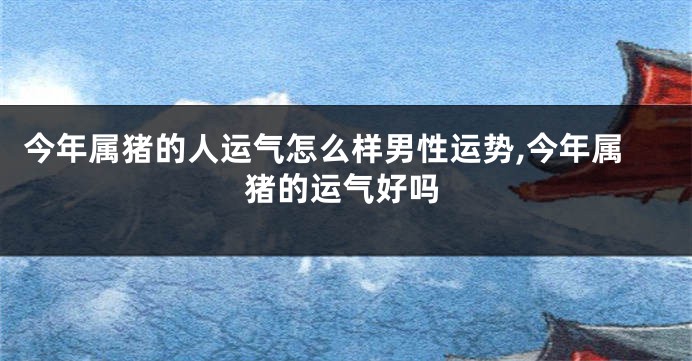 今年属猪的人运气怎么样男性运势,今年属猪的运气好吗