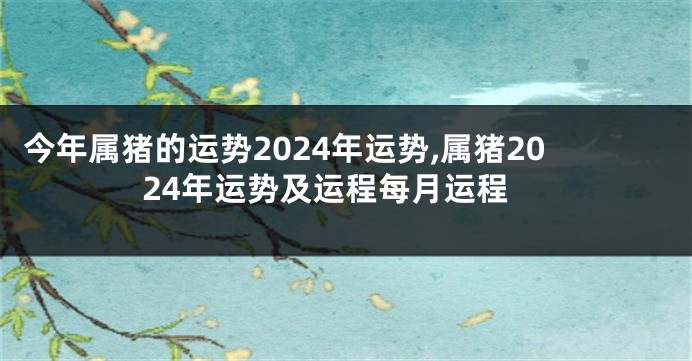今年属猪的运势2024年运势,属猪2024年运势及运程每月运程