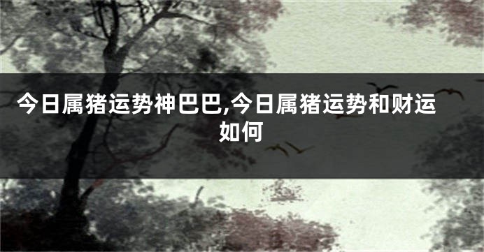 今日属猪运势神巴巴,今日属猪运势和财运如何