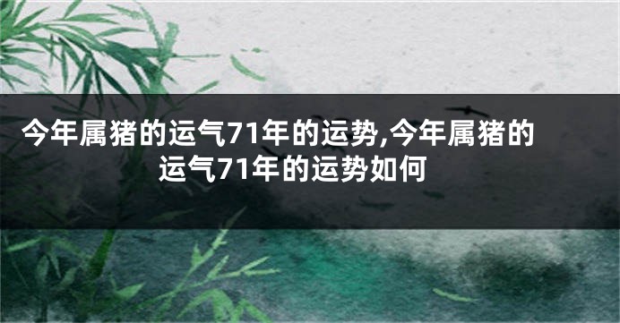 今年属猪的运气71年的运势,今年属猪的运气71年的运势如何