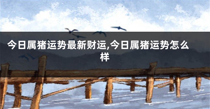 今日属猪运势最新财运,今日属猪运势怎么样