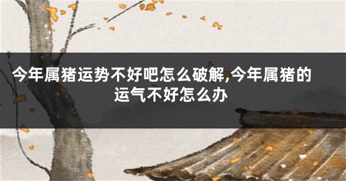今年属猪运势不好吧怎么破解,今年属猪的运气不好怎么办