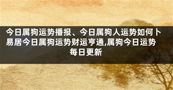 今日属狗运势播报、今日属狗人运势如何卜易居今日属狗运势财运亨通,属狗今日运势每日更新