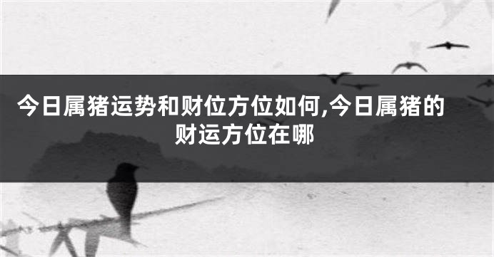 今日属猪运势和财位方位如何,今日属猪的财运方位在哪