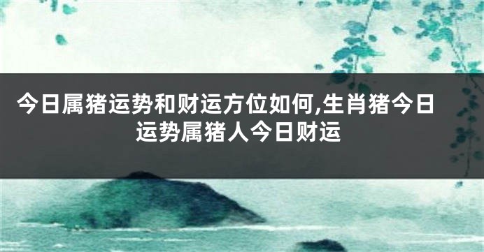 今日属猪运势和财运方位如何,生肖猪今日运势属猪人今日财运