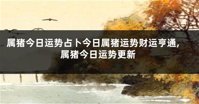 属猪今日运势占卜今日属猪运势财运亨通,属猪今日运势更新