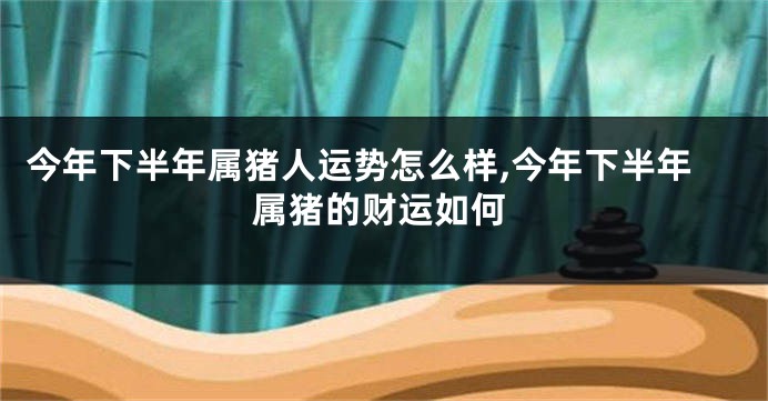 今年下半年属猪人运势怎么样,今年下半年属猪的财运如何