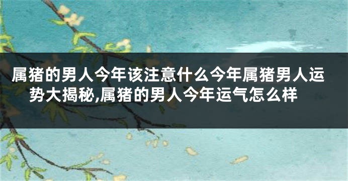 属猪的男人今年该注意什么今年属猪男人运势大揭秘,属猪的男人今年运气怎么样