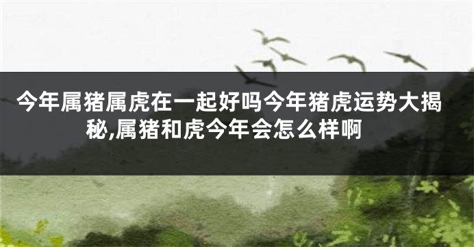 今年属猪属虎在一起好吗今年猪虎运势大揭秘,属猪和虎今年会怎么样啊