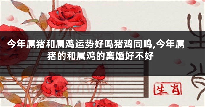 今年属猪和属鸡运势好吗猪鸡同鸣,今年属猪的和属鸡的离婚好不好