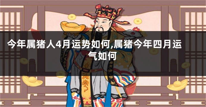 今年属猪人4月运势如何,属猪今年四月运气如何