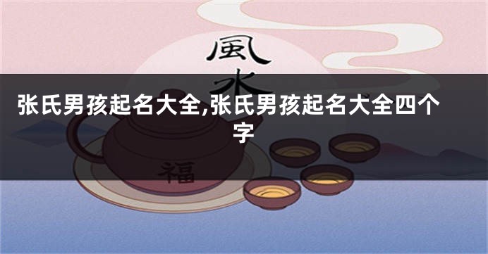 张氏男孩起名大全,张氏男孩起名大全四个字