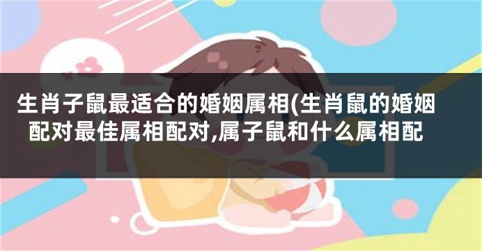生肖子鼠最适合的婚姻属相(生肖鼠的婚姻配对最佳属相配对,属子鼠和什么属相配