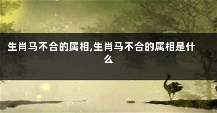生肖马不合的属相,生肖马不合的属相是什么