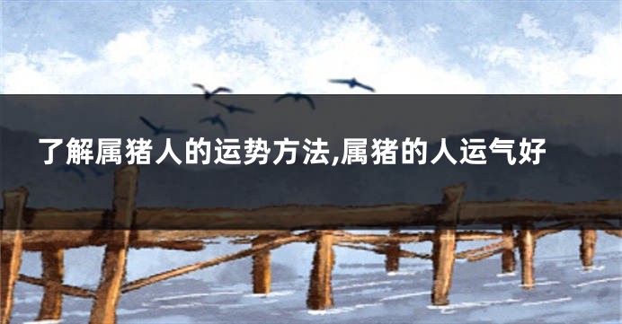 了解属猪人的运势方法,属猪的人运气好