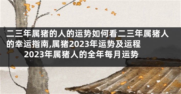 二三年属猪的人的运势如何看二三年属猪人的幸运指南,属猪2023年运势及运程 2023年属猪人的全年每月运势