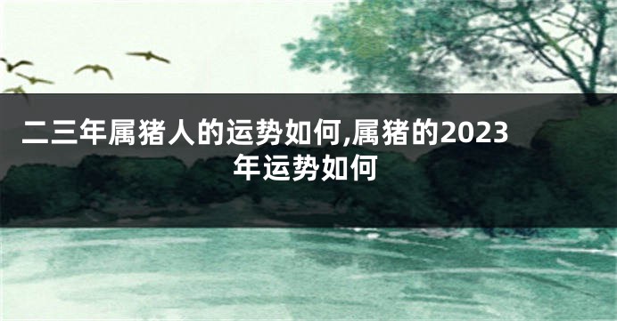 二三年属猪人的运势如何,属猪的2023年运势如何