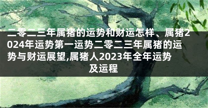 二零二三年属猪的运势和财运怎样、属猪2024年运势第一运势二零二三年属猪的运势与财运展望,属猪人2023年全年运势及运程