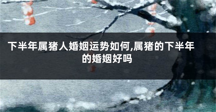 下半年属猪人婚姻运势如何,属猪的下半年的婚姻好吗