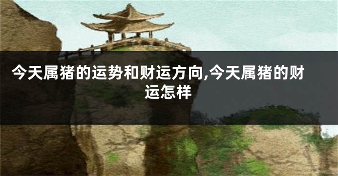 今天属猪的运势和财运方向,今天属猪的财运怎样