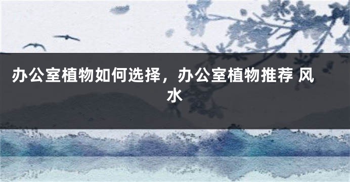 办公室植物如何选择，办公室植物推荐 风水