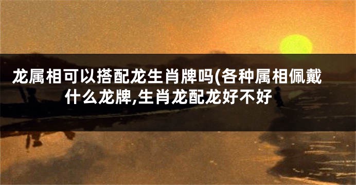 龙属相可以搭配龙生肖牌吗(各种属相佩戴什么龙牌,生肖龙配龙好不好
