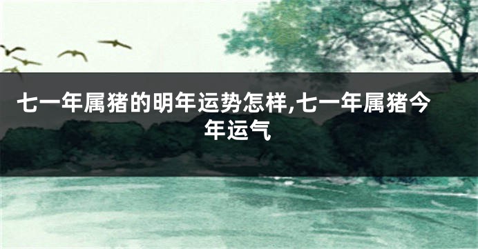 七一年属猪的明年运势怎样,七一年属猪今年运气