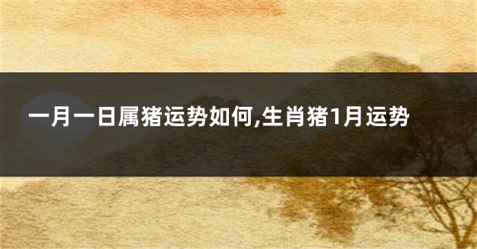 一月一日属猪运势如何,生肖猪1月运势