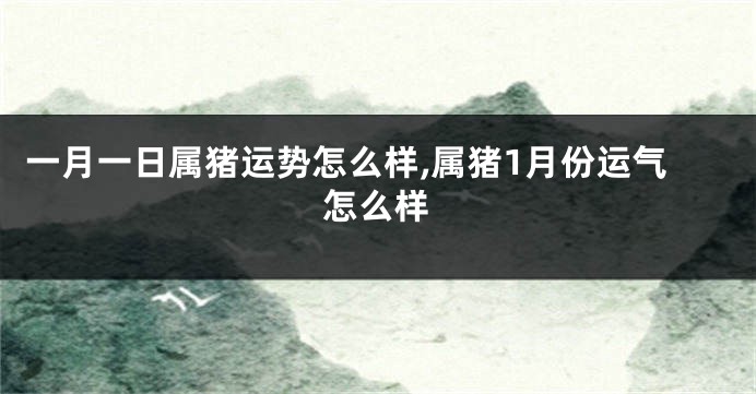 一月一日属猪运势怎么样,属猪1月份运气怎么样