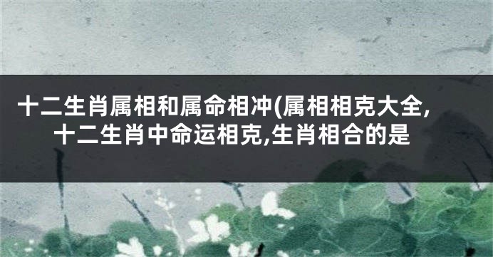 十二生肖属相和属命相冲(属相相克大全,十二生肖中命运相克,生肖相合的是