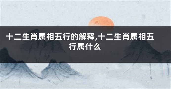 十二生肖属相五行的解释,十二生肖属相五行属什么