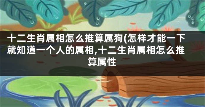 十二生肖属相怎么推算属狗(怎样才能一下就知道一个人的属相,十二生肖属相怎么推算属性