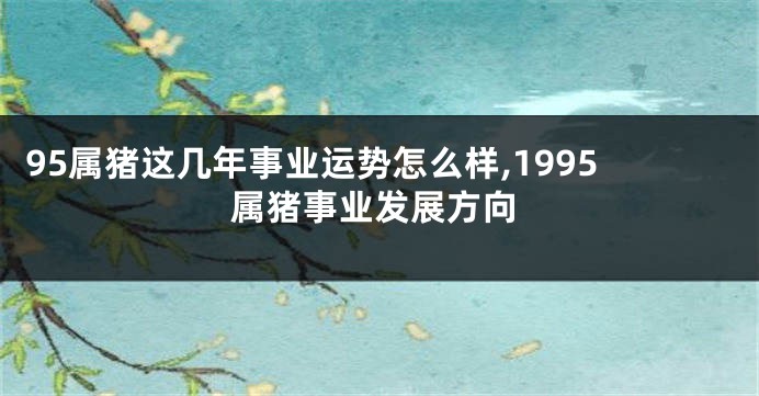 95属猪这几年事业运势怎么样,1995属猪事业发展方向