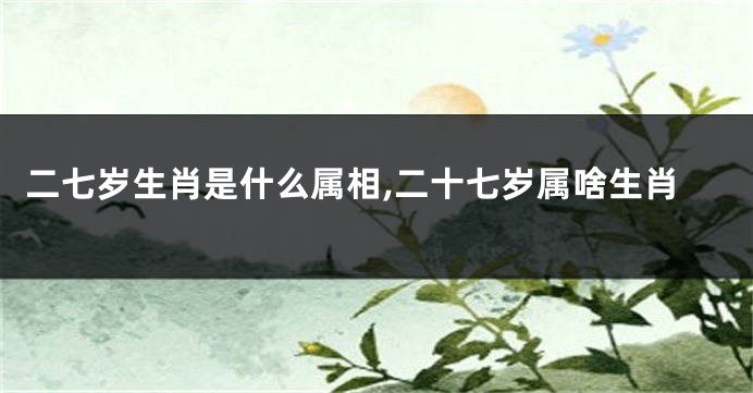 二七岁生肖是什么属相,二十七岁属啥生肖