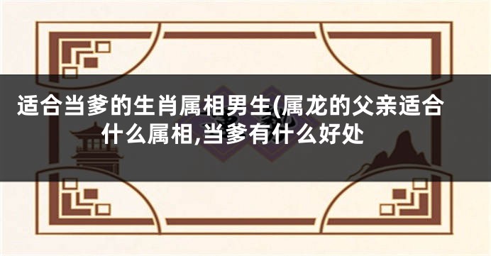 适合当爹的生肖属相男生(属龙的父亲适合什么属相,当爹有什么好处