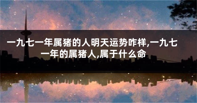 一九七一年属猪的人明天运势咋样,一九七一年的属猪人,属于什么命