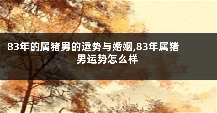 83年的属猪男的运势与婚姻,83年属猪男运势怎么样