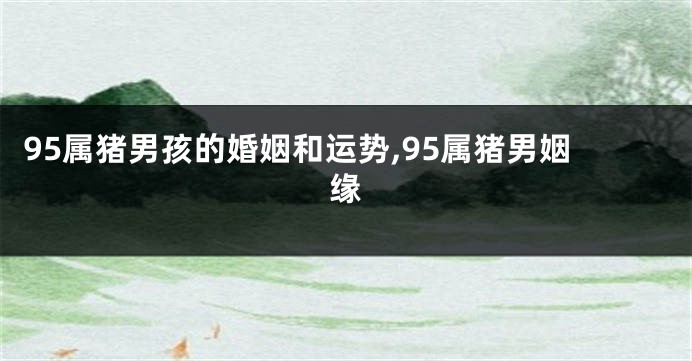 95属猪男孩的婚姻和运势,95属猪男姻缘