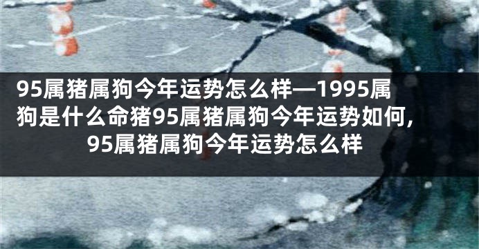 95属猪属狗今年运势怎么样—1995属狗是什么命猪95属猪属狗今年运势如何,95属猪属狗今年运势怎么样