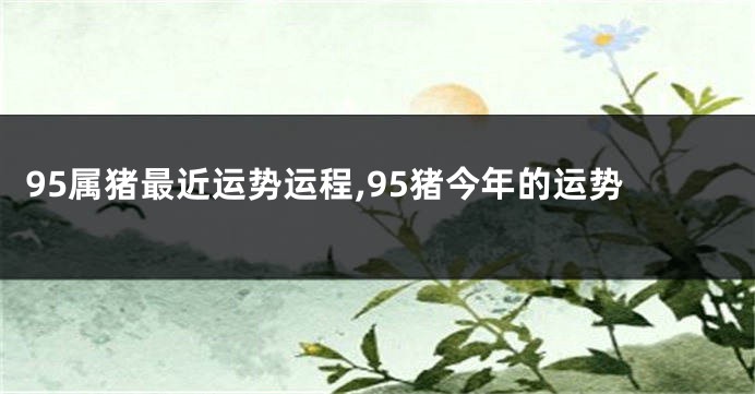 95属猪最近运势运程,95猪今年的运势