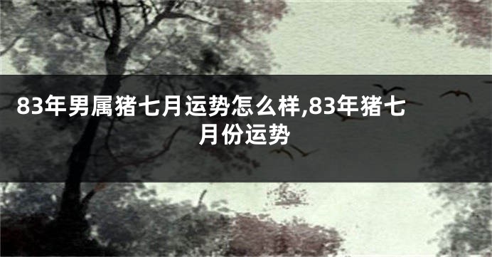 83年男属猪七月运势怎么样,83年猪七月份运势