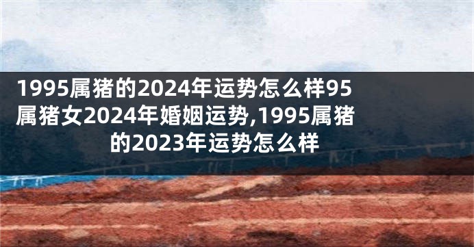 1995属猪的2024年运势怎么样95属猪女2024年婚姻运势,1995属猪的2023年运势怎么样