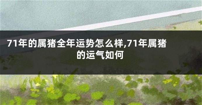 71年的属猪全年运势怎么样,71年属猪的运气如何